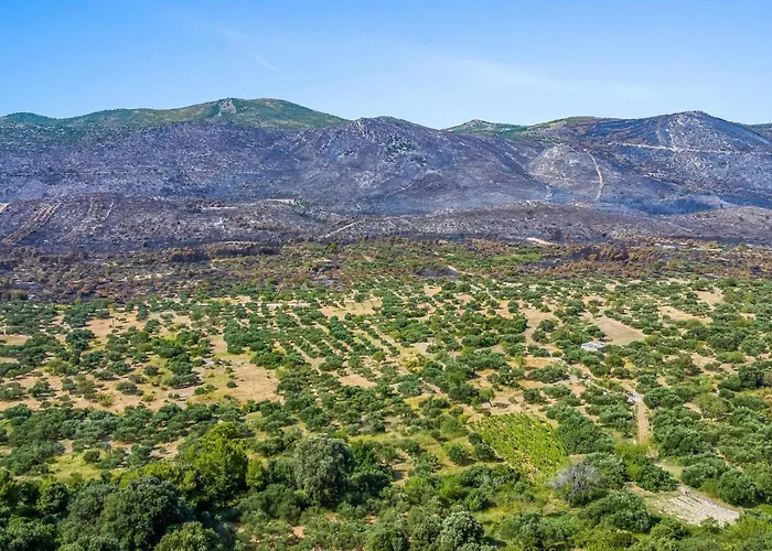 Dom wakacyjny Awesome In With Wifi